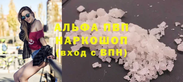 прущие грибы Аркадак