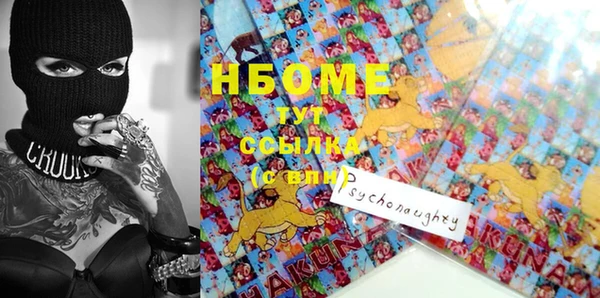 молекула духа Арсеньев
