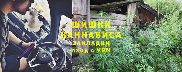 прущие грибы Аркадак