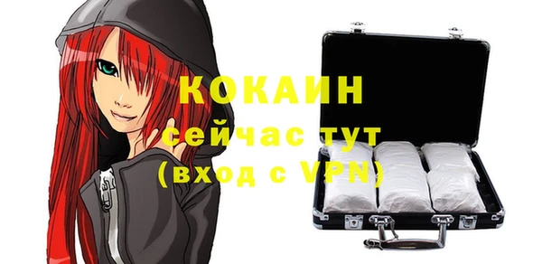 прущие грибы Аркадак