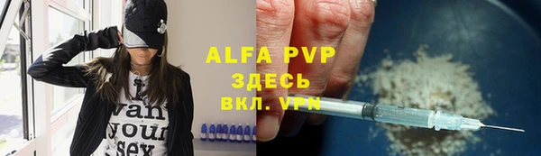 молекула духа Арсеньев