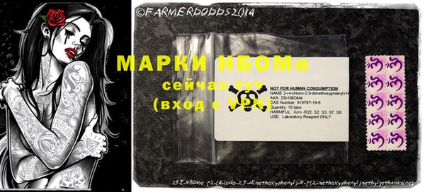 прущие грибы Аркадак