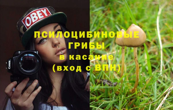 молекула духа Арсеньев