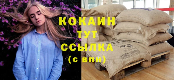 прущие грибы Аркадак
