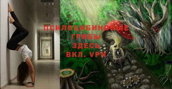 соль курить ск Пересвет