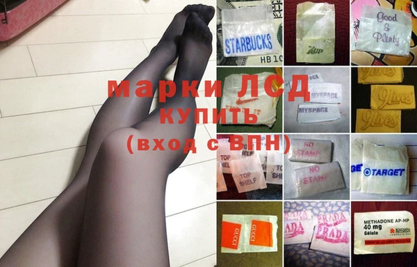 молекула духа Арсеньев