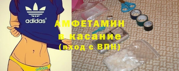 молекула духа Арсеньев