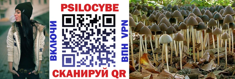 Галлюциногенные грибы Psilocybine cubensis Артёмовский